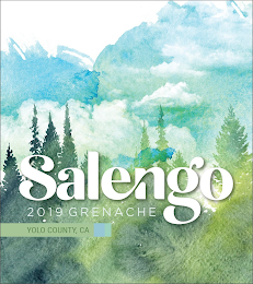 SALENGO 2019 GRENACHE YOLO COUNTY, CA