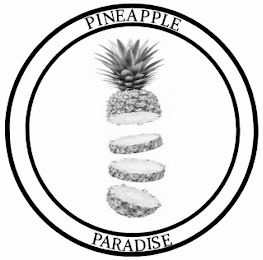 PINEAPPLE PARADISE