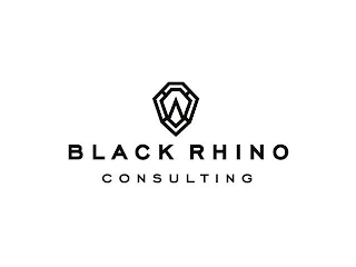 BLACK RHINO CONSULTING