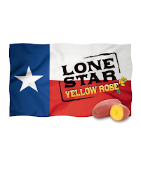 LONE STAR YELLOW ROSE