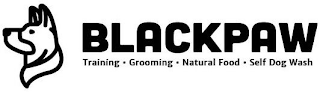 BLACKPAW TRAINING GROOMING NATURAL FOOD SELF DOG WASH