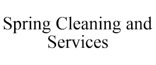 SPRING CLEANING AND SERVICES