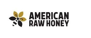 AMERICAN RAW HONEY