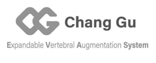 CG CHANG GU EXPANDABLE VERTEBRAL AUGMENTATION SYSTEM