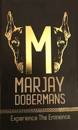 MARJAY DOBERMANS EXPERIENCE THE EMINENCE