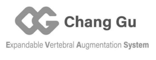 CG CHANG GU EXPANDABLE VERTEBRAL AUGMENTATION SYSTEM