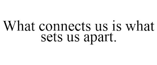 WHAT CONNECTS US IS WHAT SETS US APART.