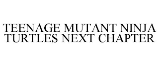 TEENAGE MUTANT NINJA TURTLES NEXT CHAPTER