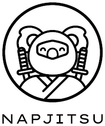 NAPJITSU