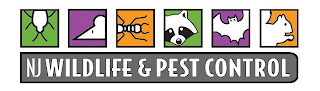 NJ WILDLIFE & PEST CONTROL