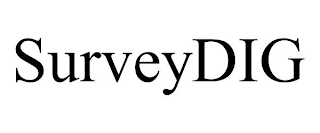 SURVEYDIG