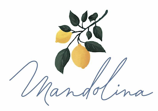 MANDOLINA