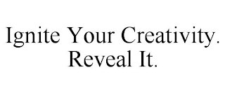 IGNITE YOUR CREATIVITY. REVEAL IT.