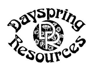 DR DAYSPRING RESOURCES