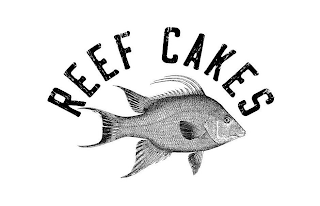 REEF CAKES