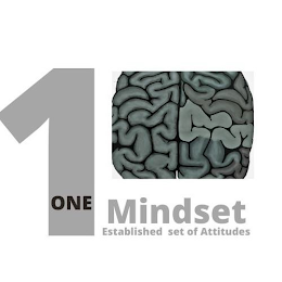 1 ONE MINDSET ESTABLISHED SET OF ATTITUDES