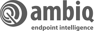 AMBIQ ENDPOINT INTELLIGENCE