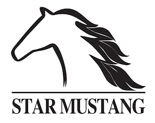 STAR MUSTANG