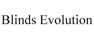 BLINDS EVOLUTION