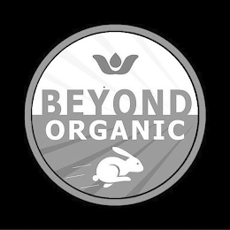 BEYOND ORGANIC