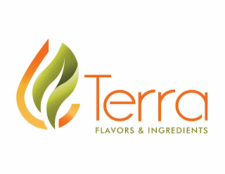 TERRA FLAVORS & INGREDIENTS