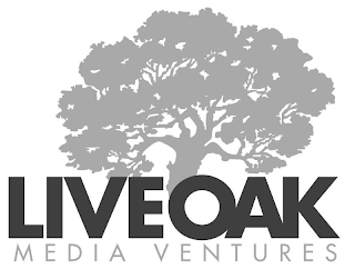 LIVE OAK MEDIA VENTURES