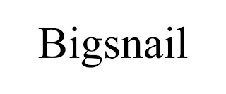 BIGSNAIL