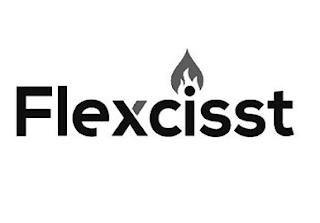 FLEXCISST