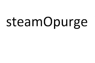 STEAM OPURGE