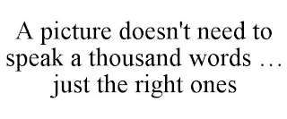 A PICTURE DOESN'T NEED TO SPEAK A THOUSAND WORDS ... JUST THE RIGHT ONES