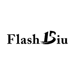 FLASHBIU