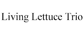 LIVING LETTUCE TRIO