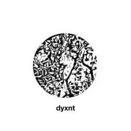 DYXNT