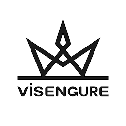 VISENGURE