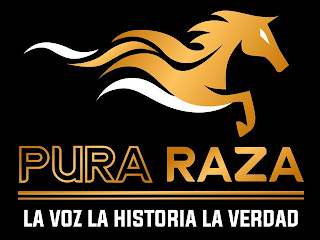 PURA RAZA LA VOZ LA HISTORIA LA VERDAD