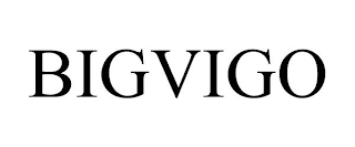 BIGVIGO