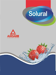 SOLURAL AMSA LABORATORIOS