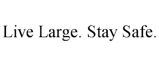 LIVE LARGE. STAY SAFE.