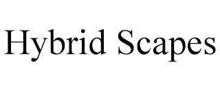 HYBRID SCAPES