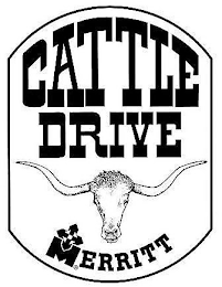 CATTLE DRIVE MERRITT