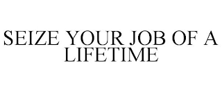 SEIZE YOUR JOB OF A LIFETIME