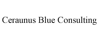 CERAUNUS BLUE CONSULTING