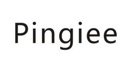 Jieyang Sending Cultural Development Co., Ltd.