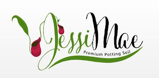 JESSI MAE PREMIUM POTTING SOIL