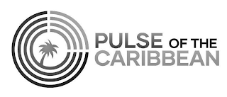 PULSE OF THE CARIBBEAN