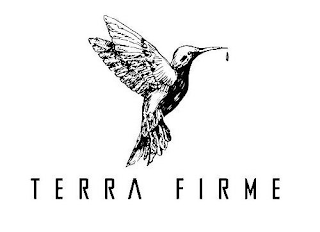 TERRA FIRME