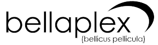 BELLAPLEX (BELLICUS PELLICULA)