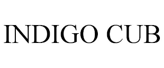 INDIGO CUB