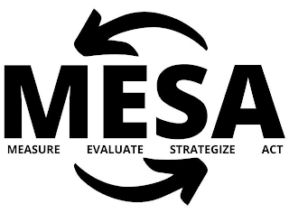 MESA MEASURE EVALUATE STRATEGIZE ACT