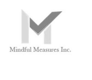 MINDFUL MEASURES INC.